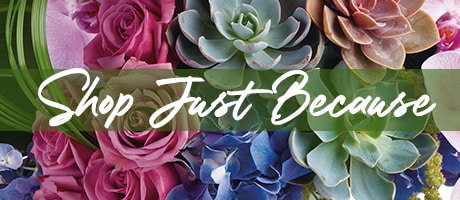 Because Flowers Delivery - Send Just Because Flowers